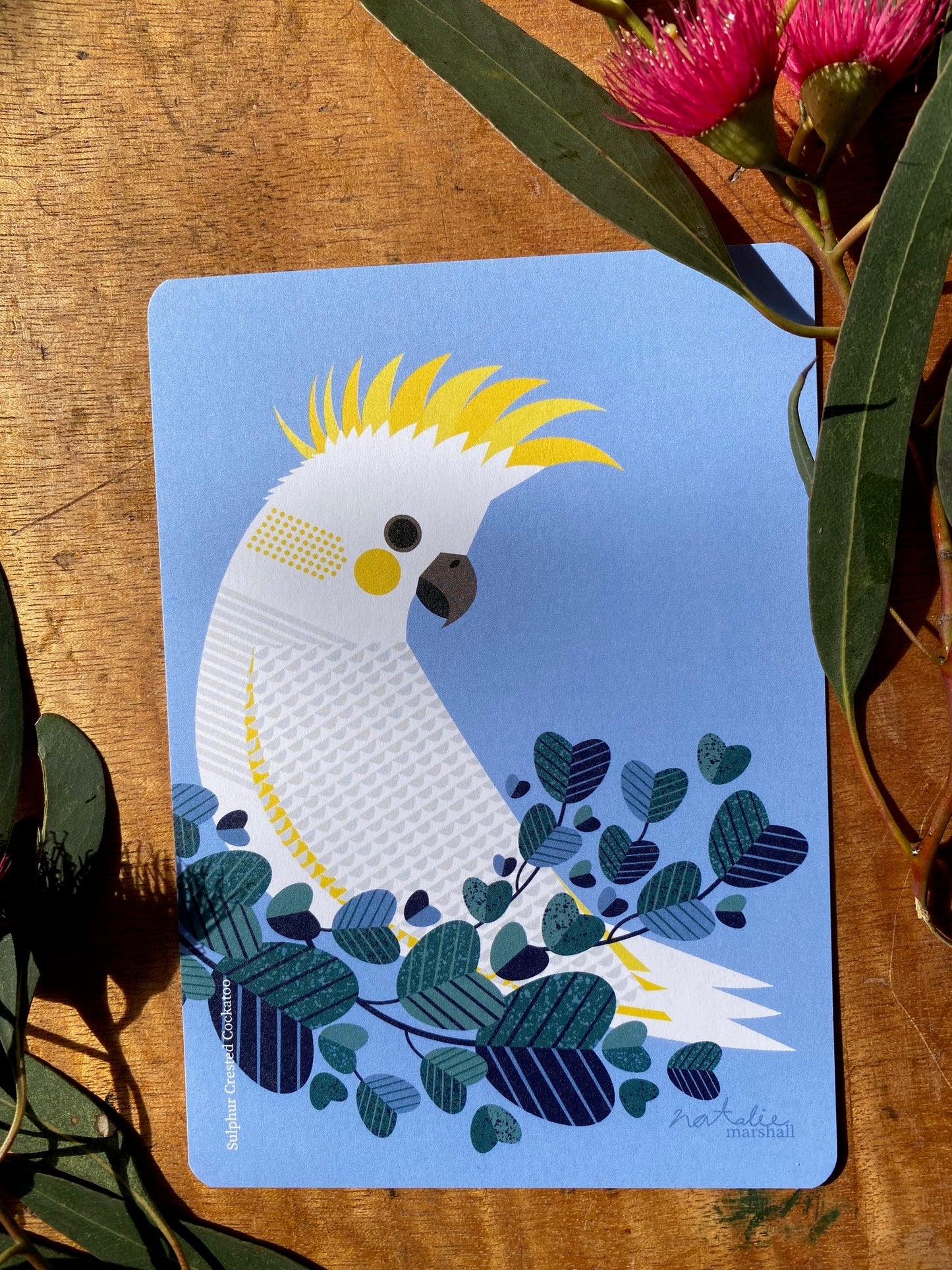 Bird Postcards