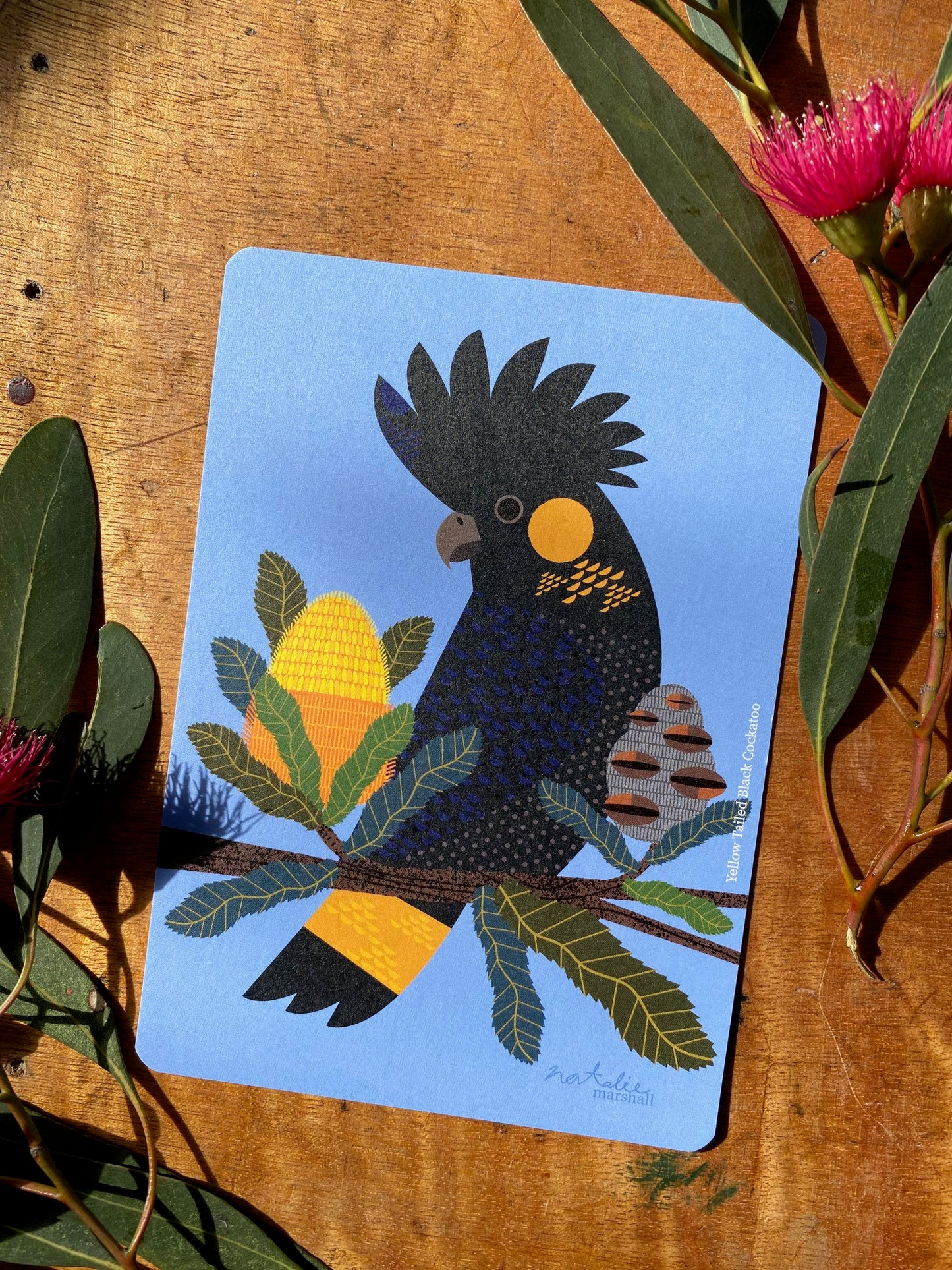 Bird Postcards
