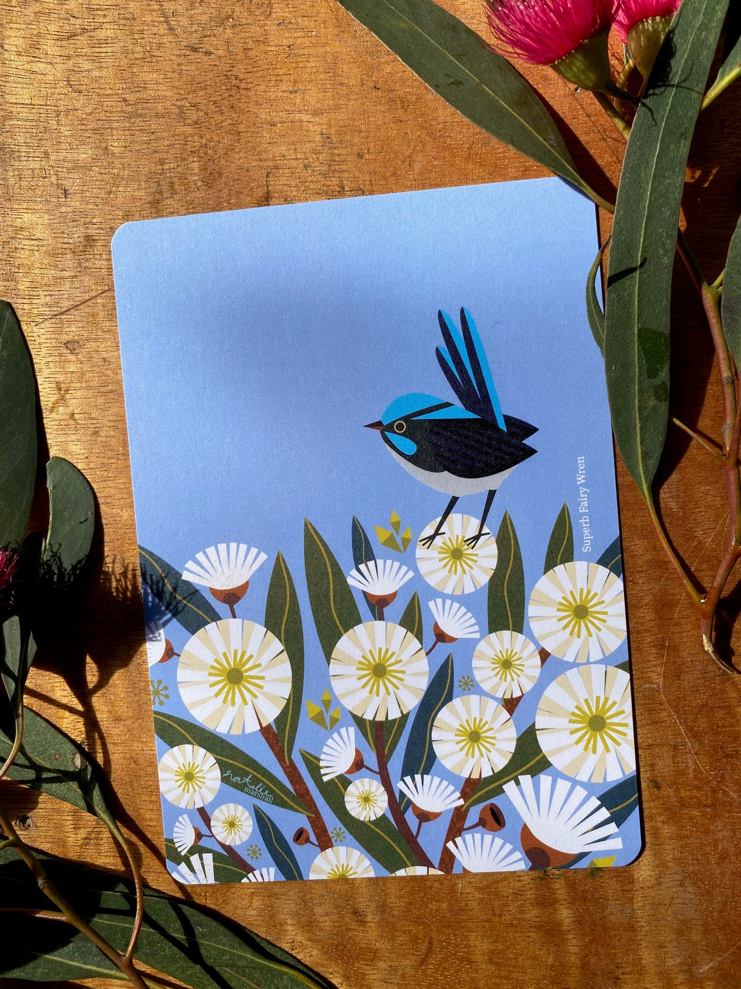 Bird Postcards