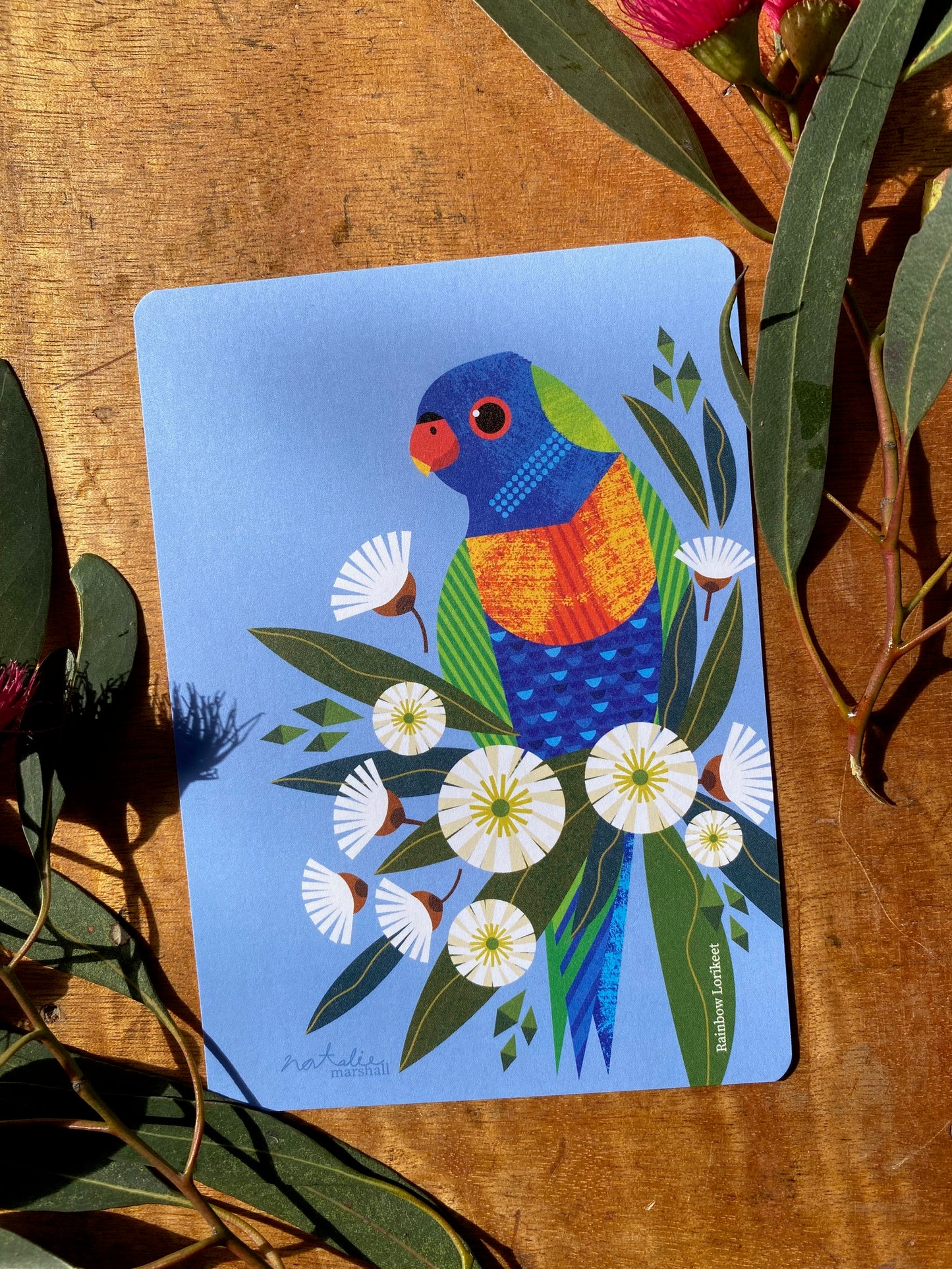 Bird Postcards
