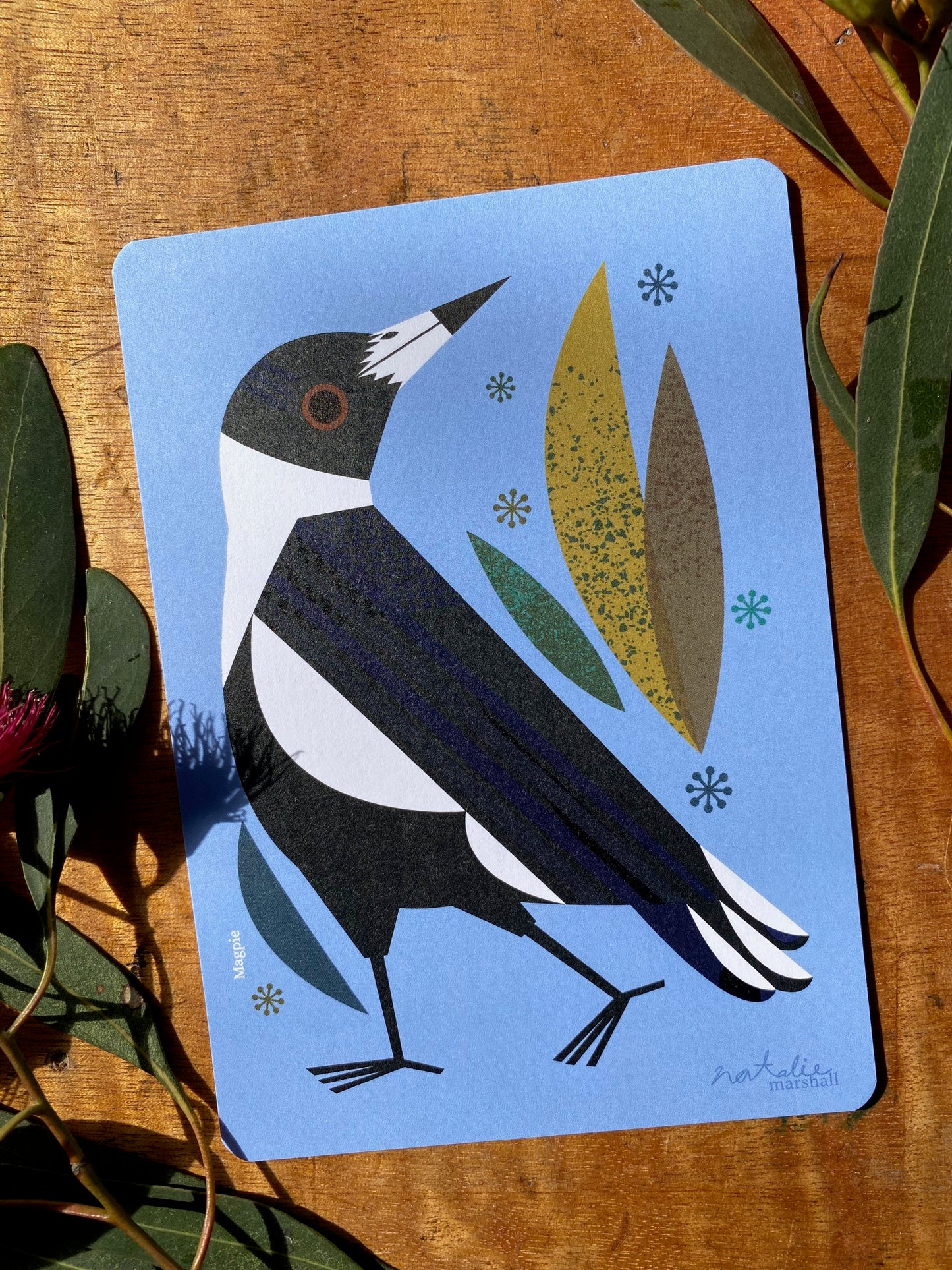 Bird Postcards