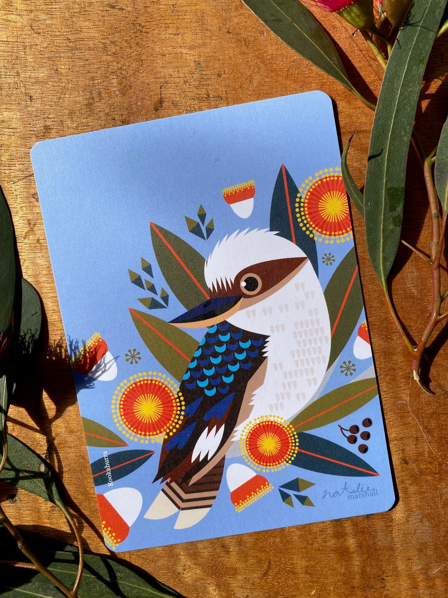 Bird Postcards