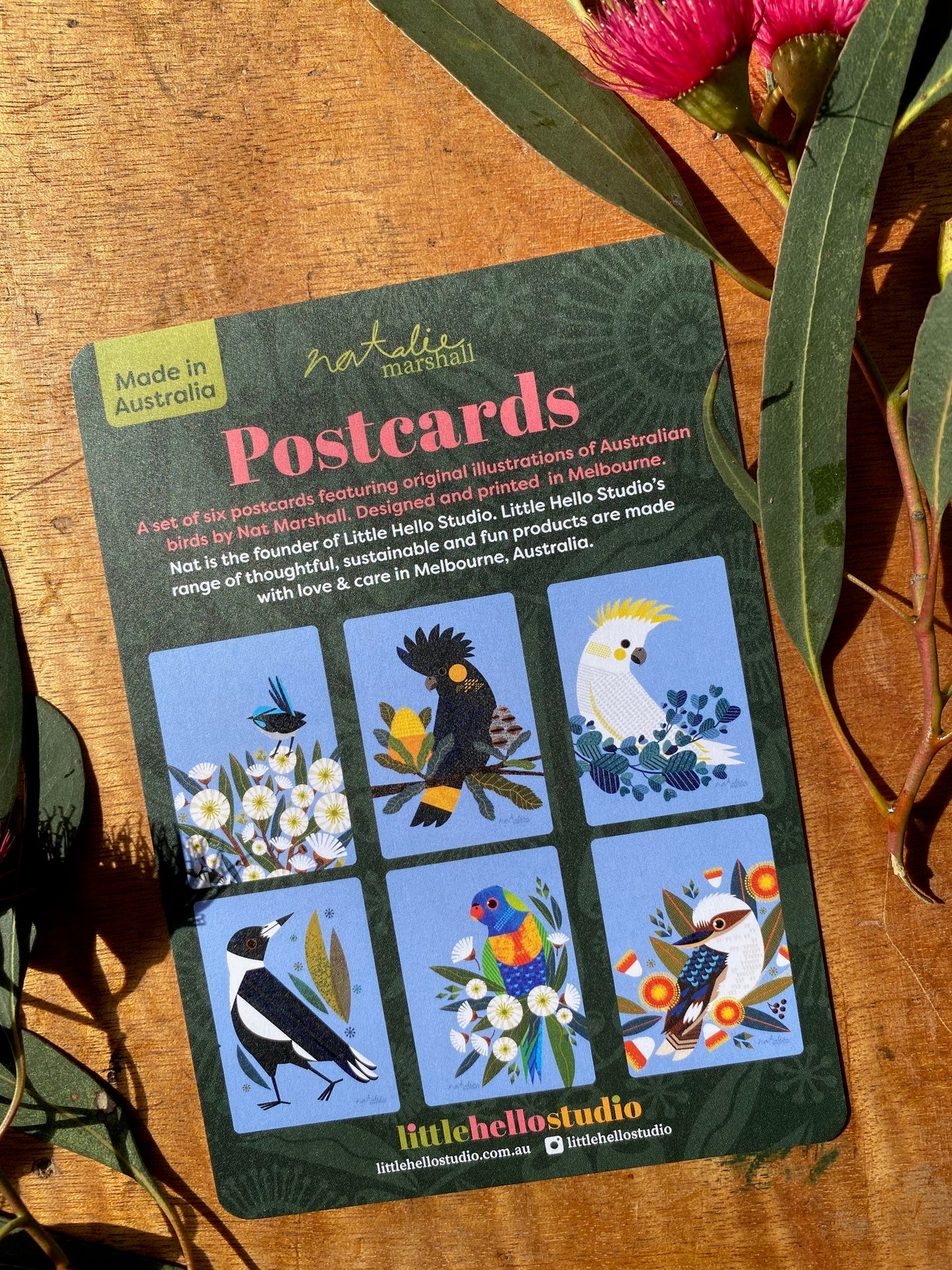 Bird Postcards