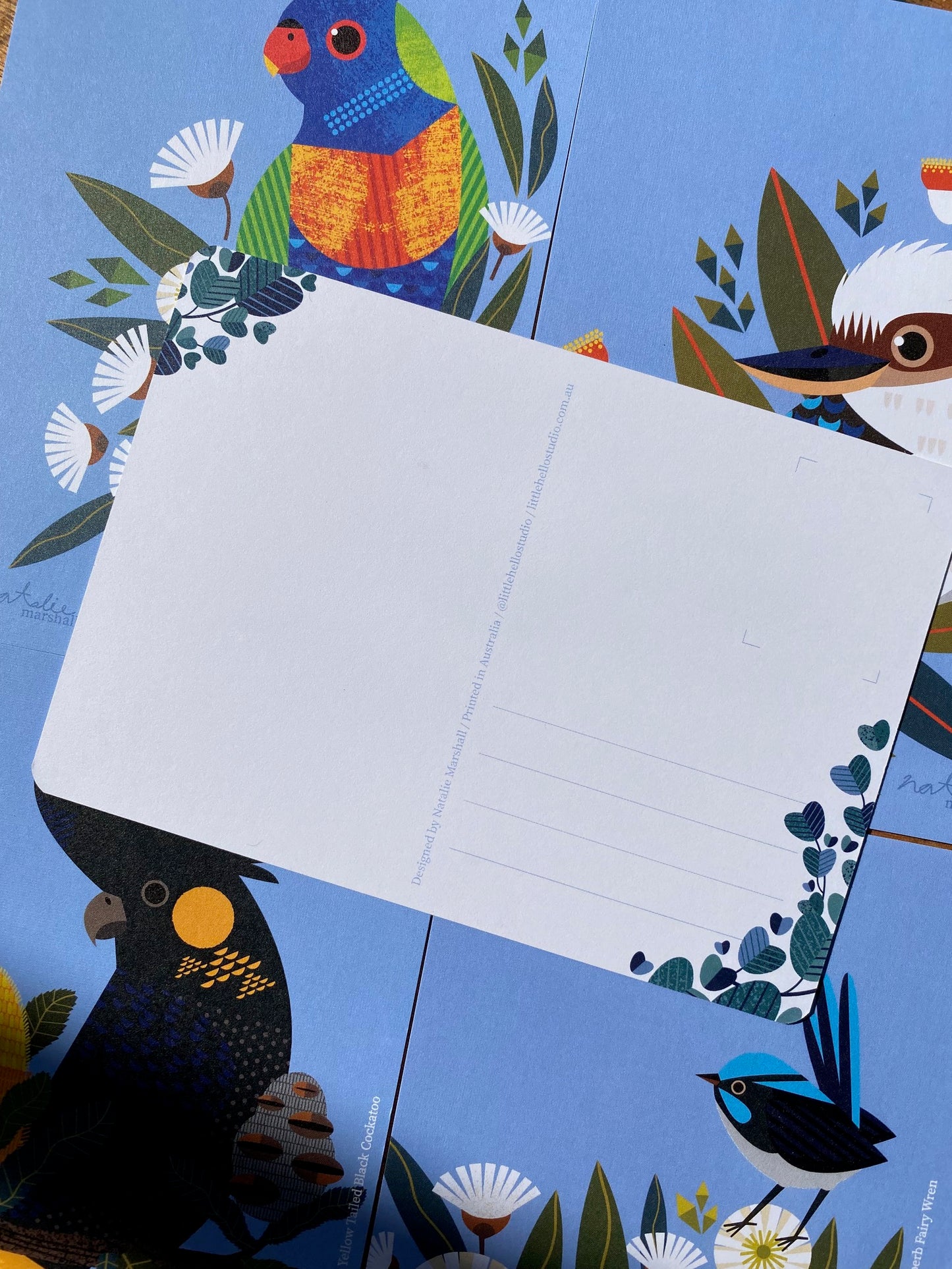 Bird Postcards