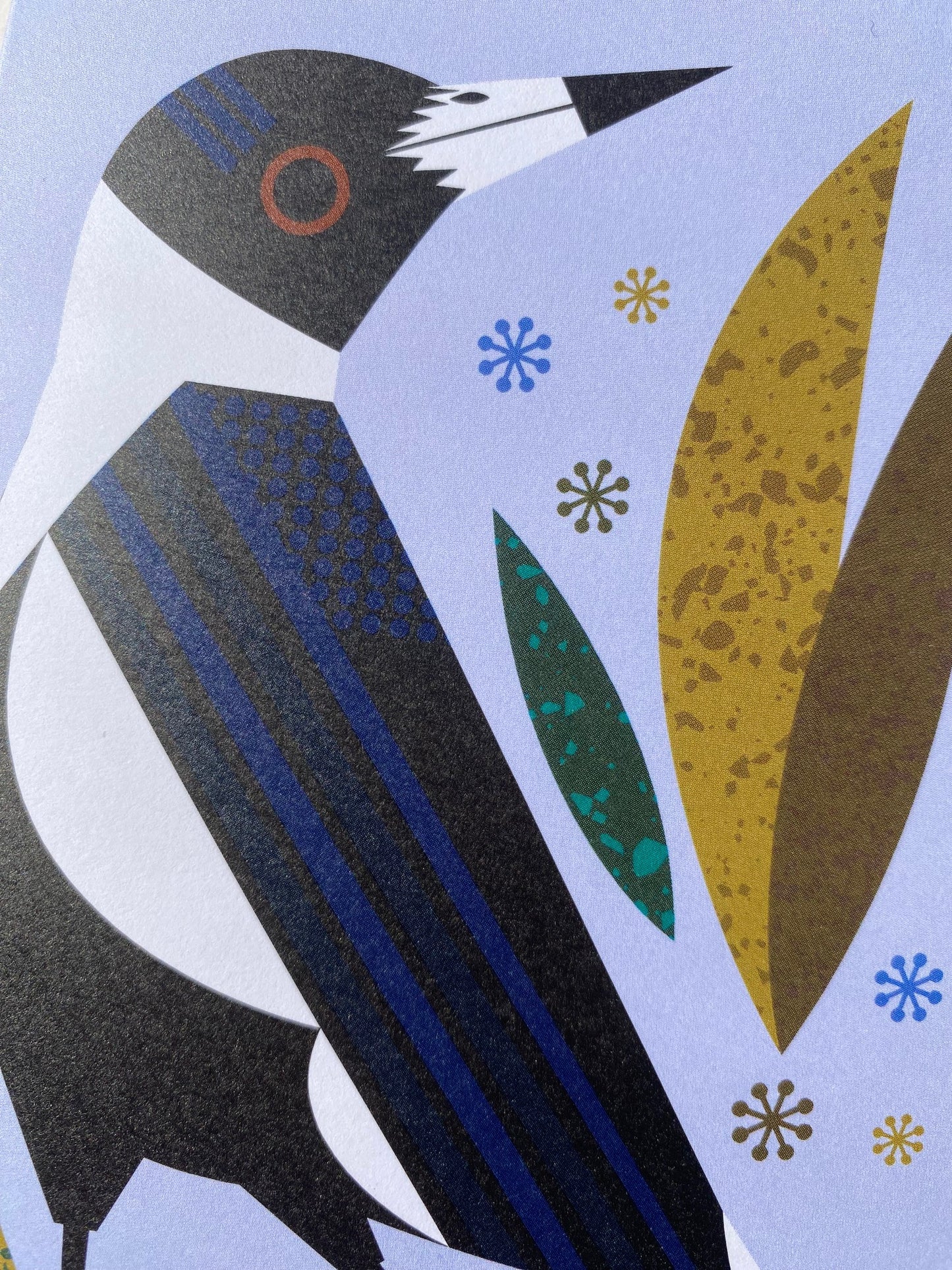 Magpie