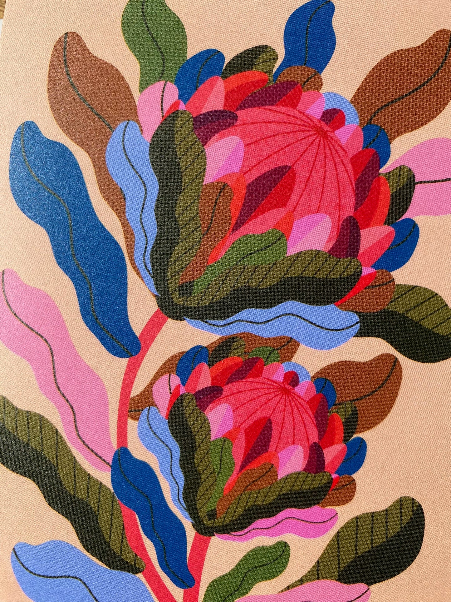 Protea