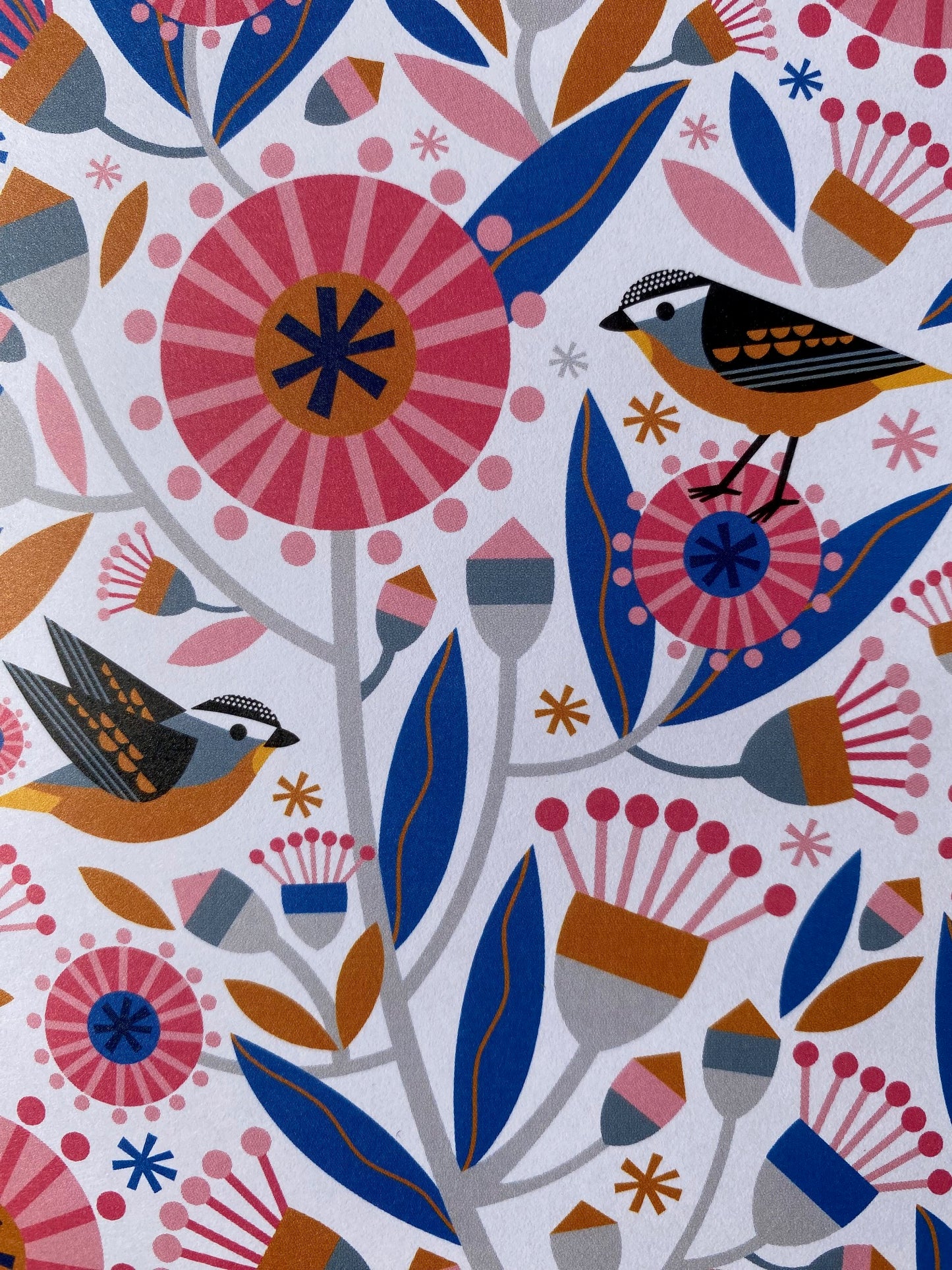 Pardalote Pattern