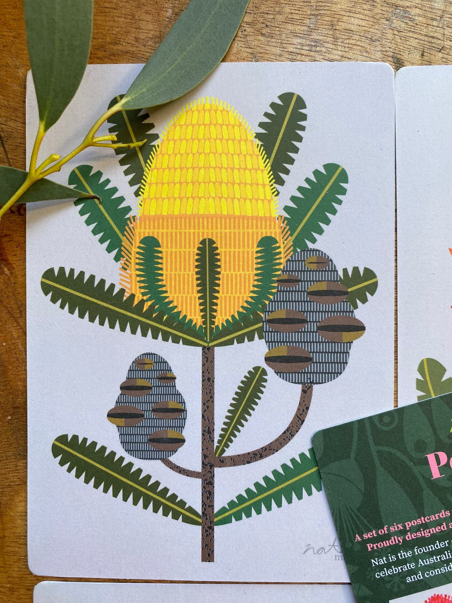 Flower Postcards