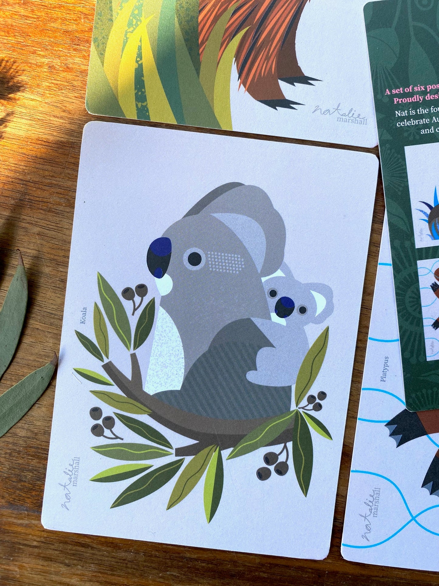 Animal Postcards