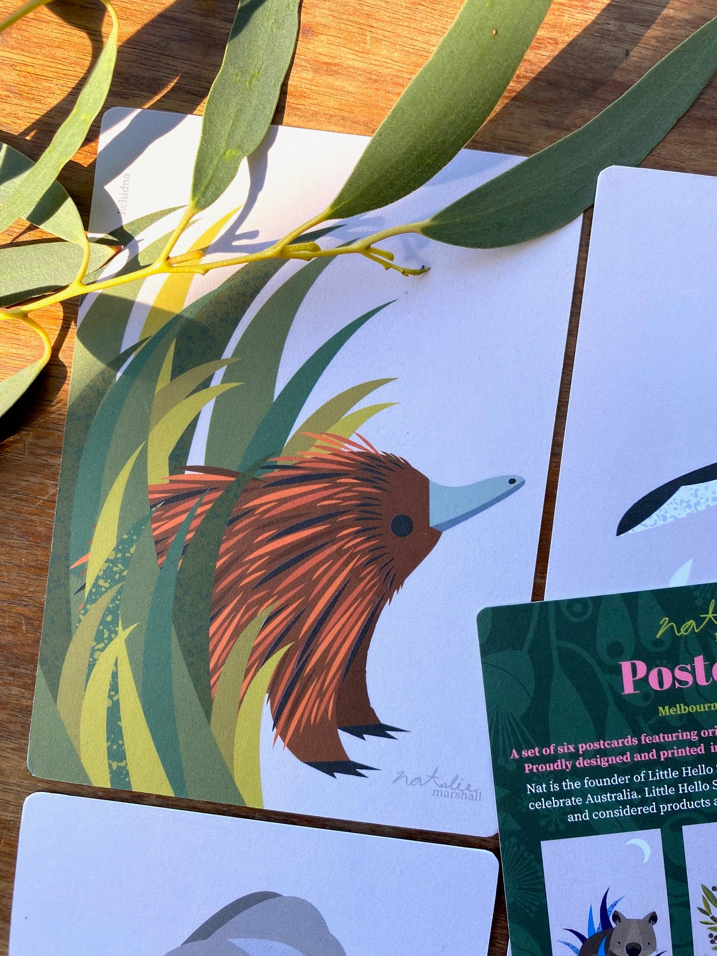 Animal Postcards