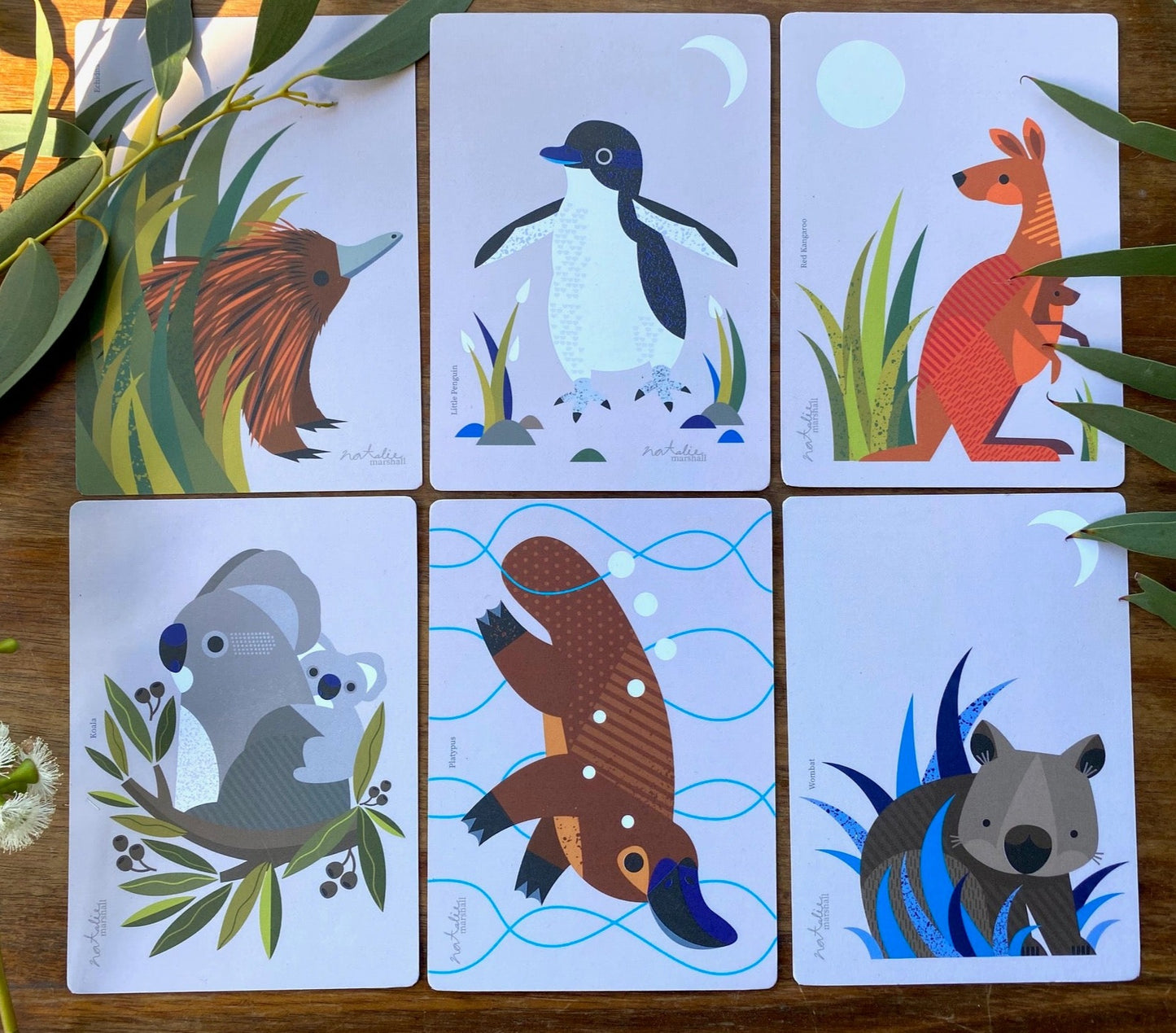 Animal Postcards