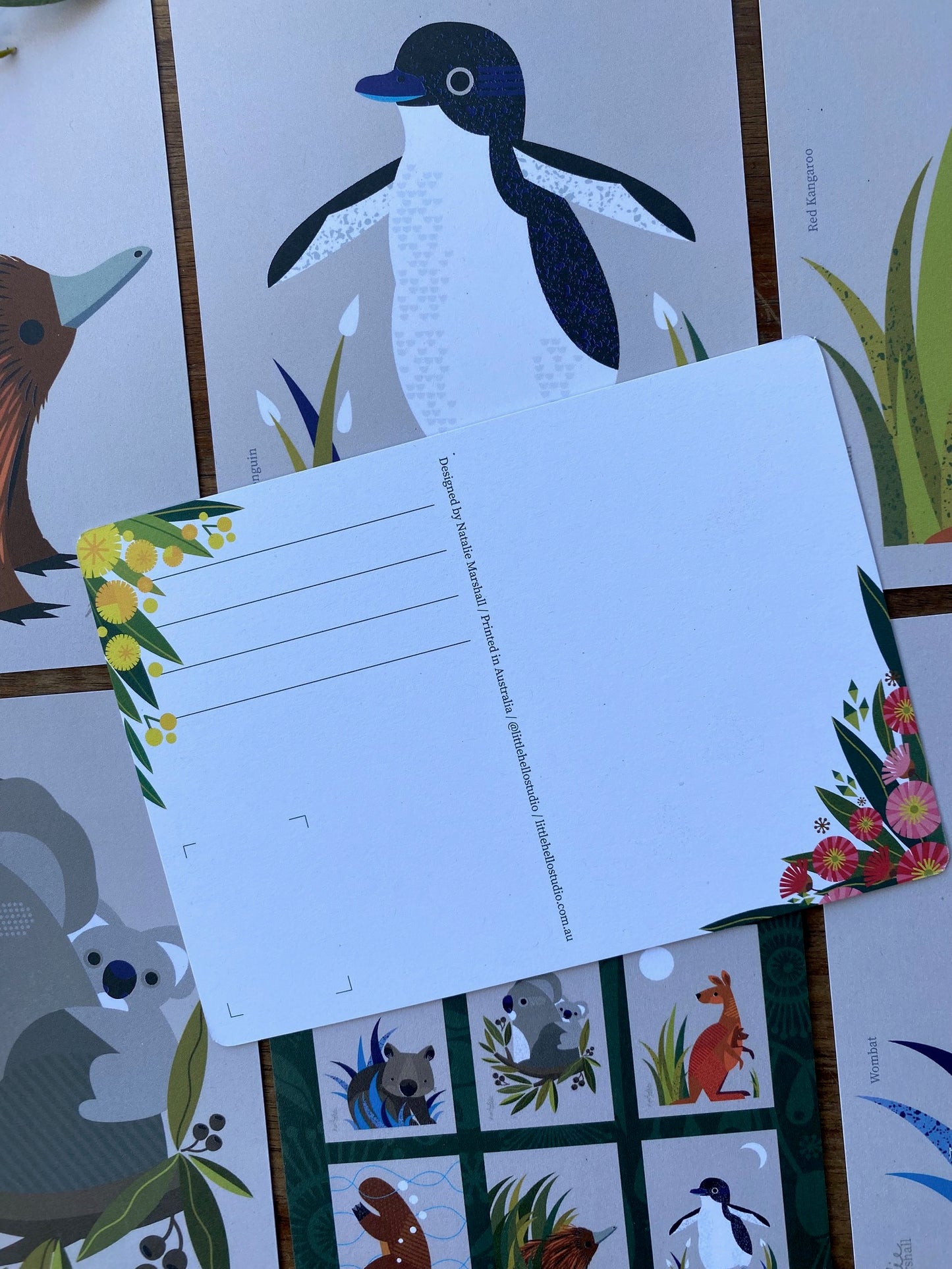 Animal Postcards