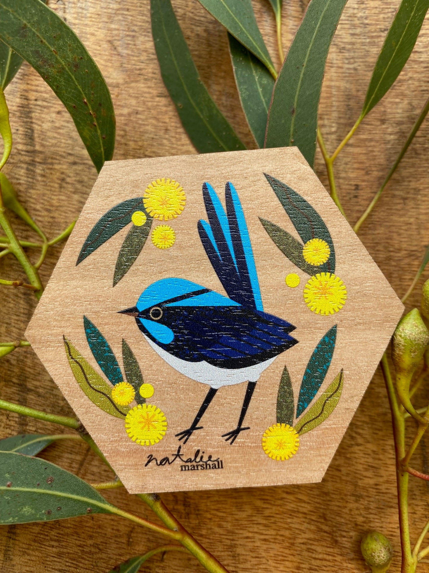 Superb Fairy Wren Magnet
