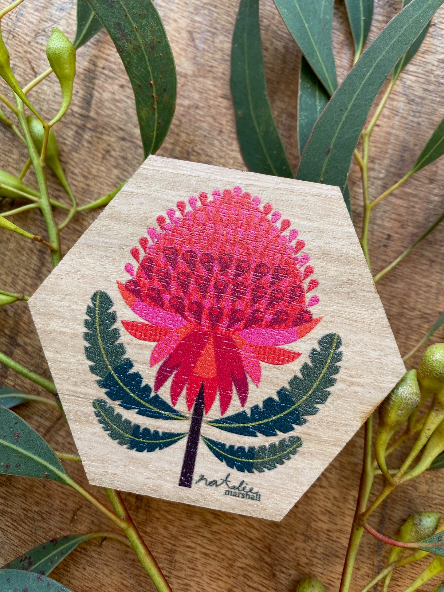 Waratah Magnet