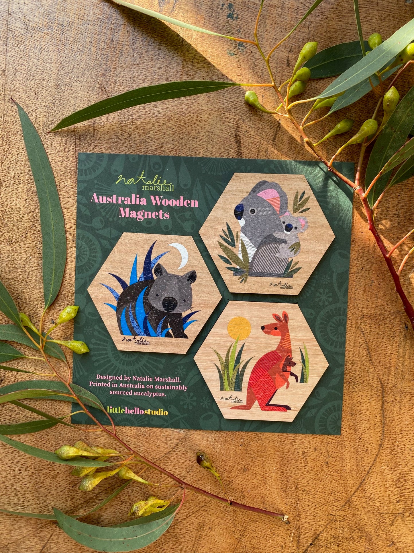 Animal Magnet Set