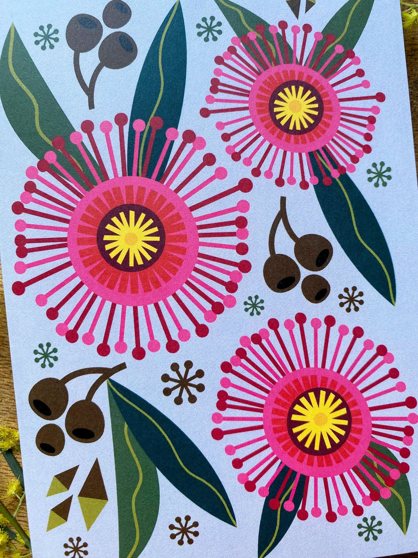 Eucalyptus Blossoms