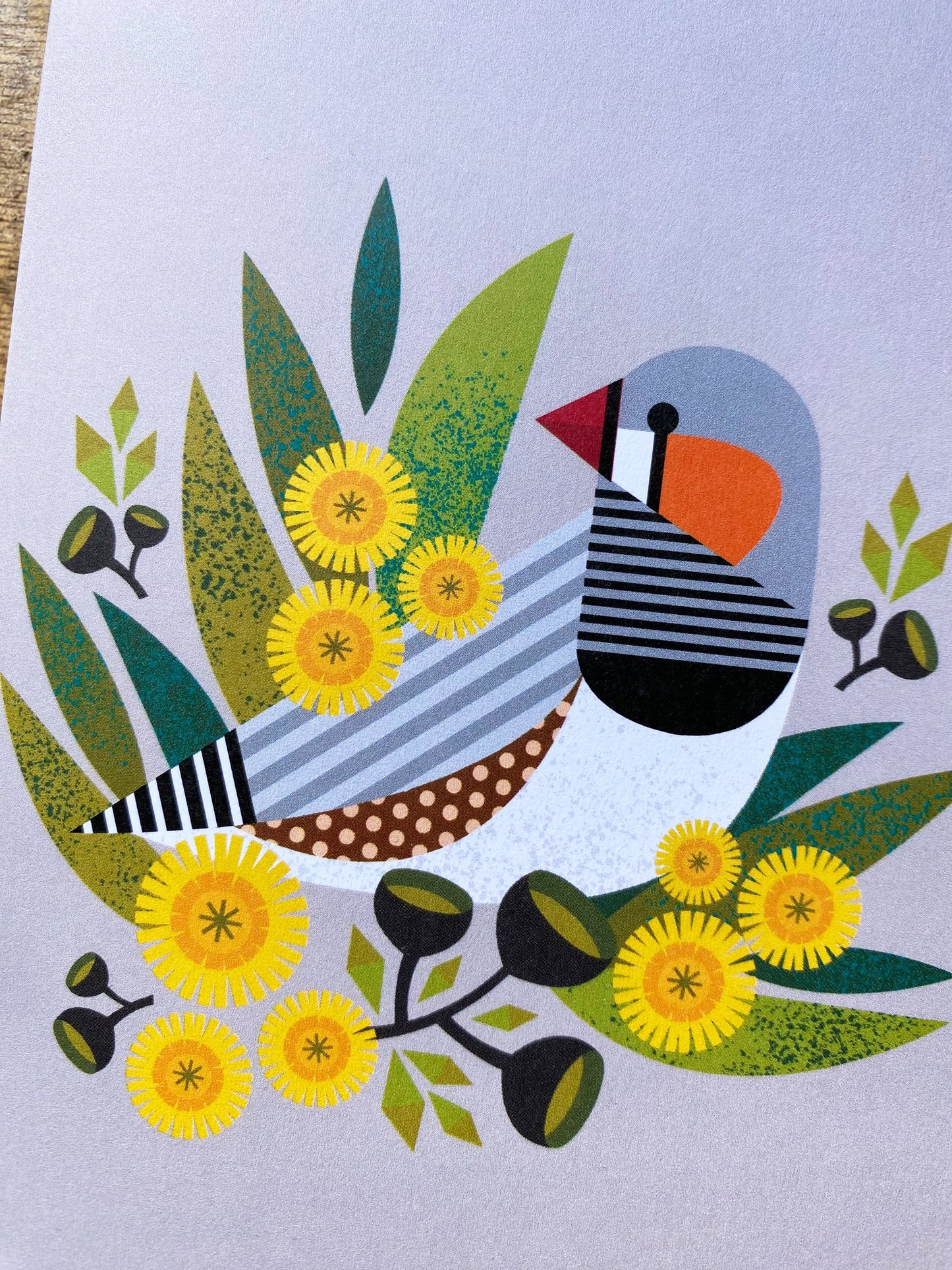 Zebra Finch