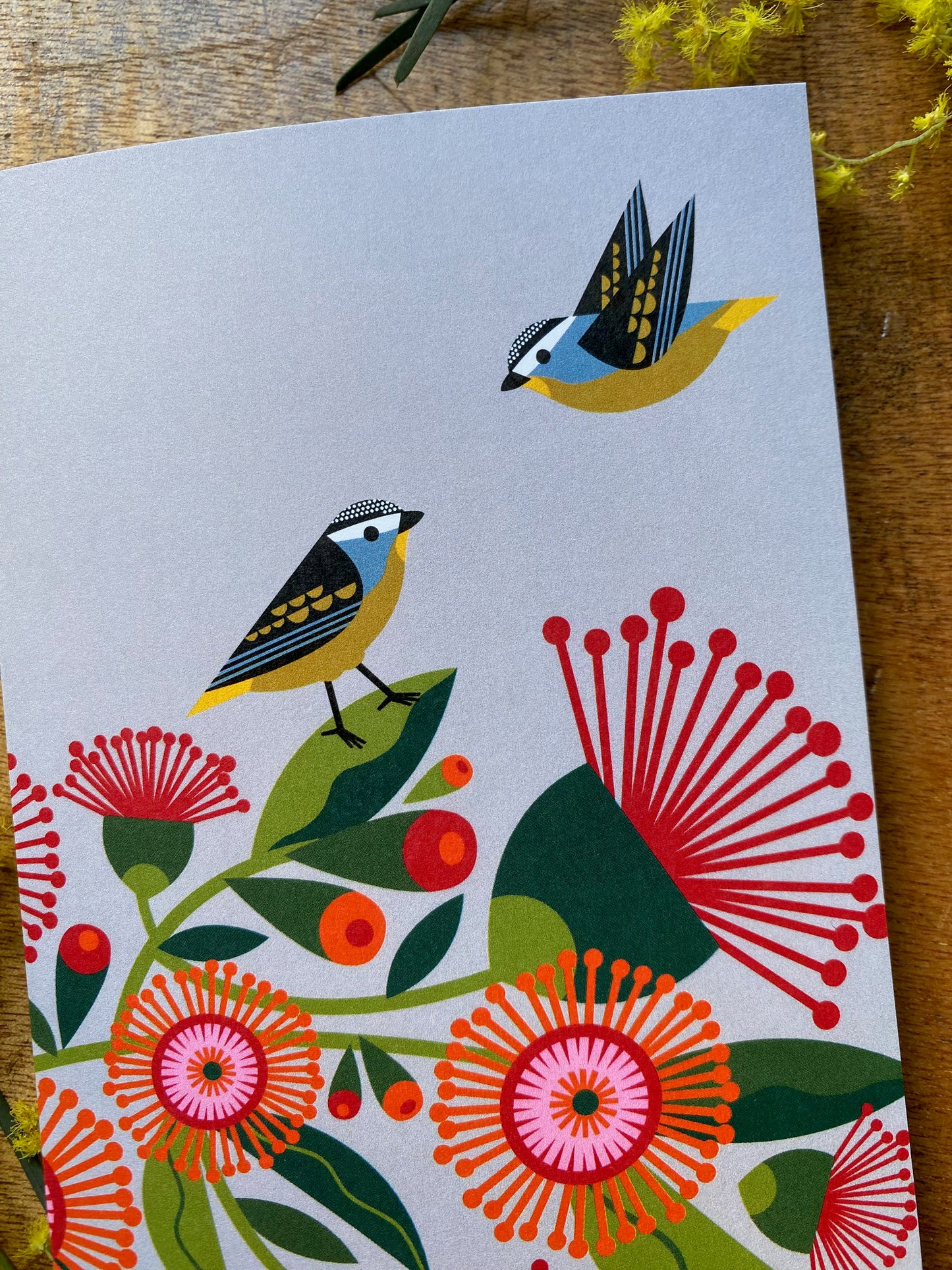 Spotted Pardalotes Card