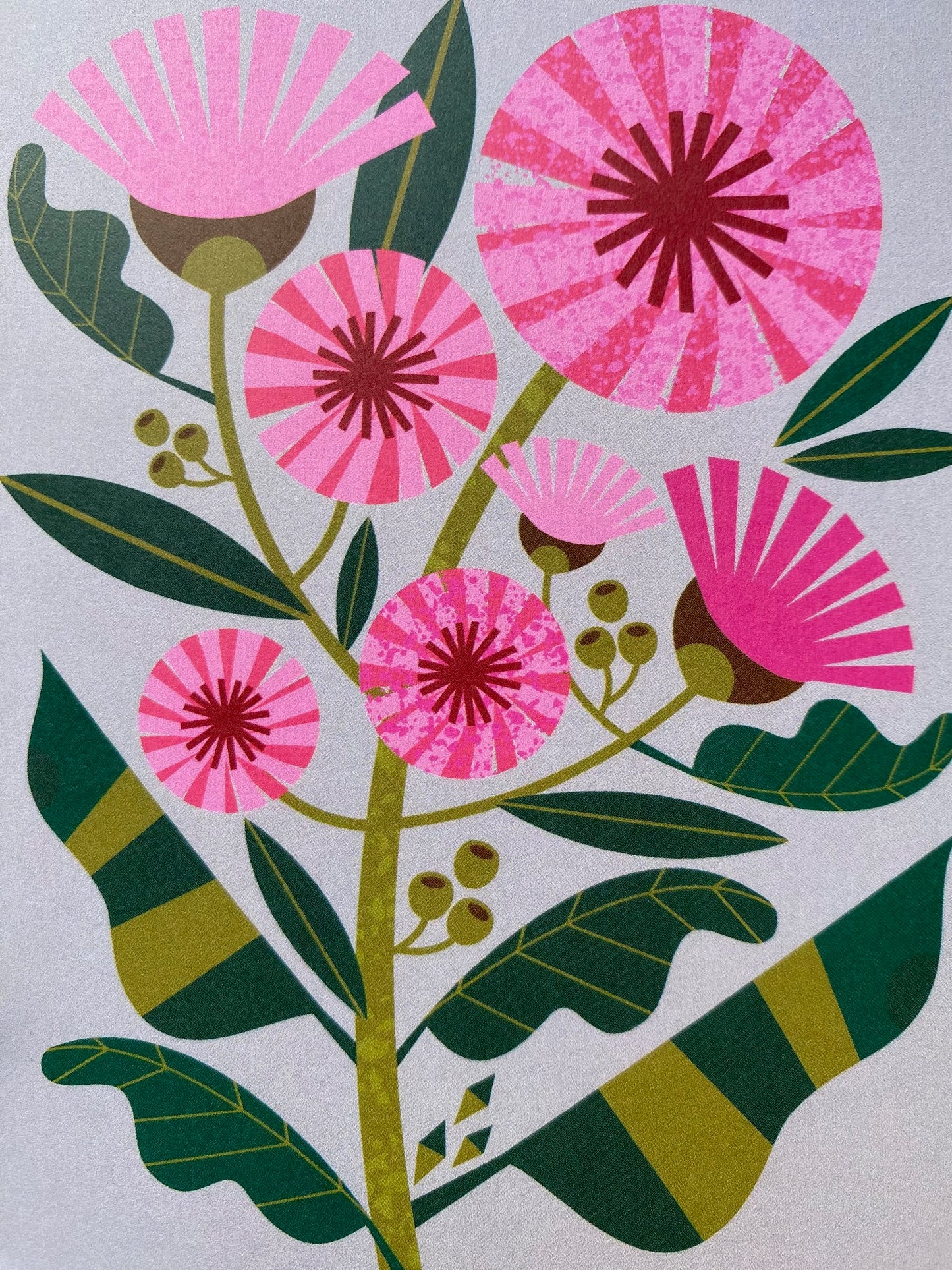 Pink Flowering Gum