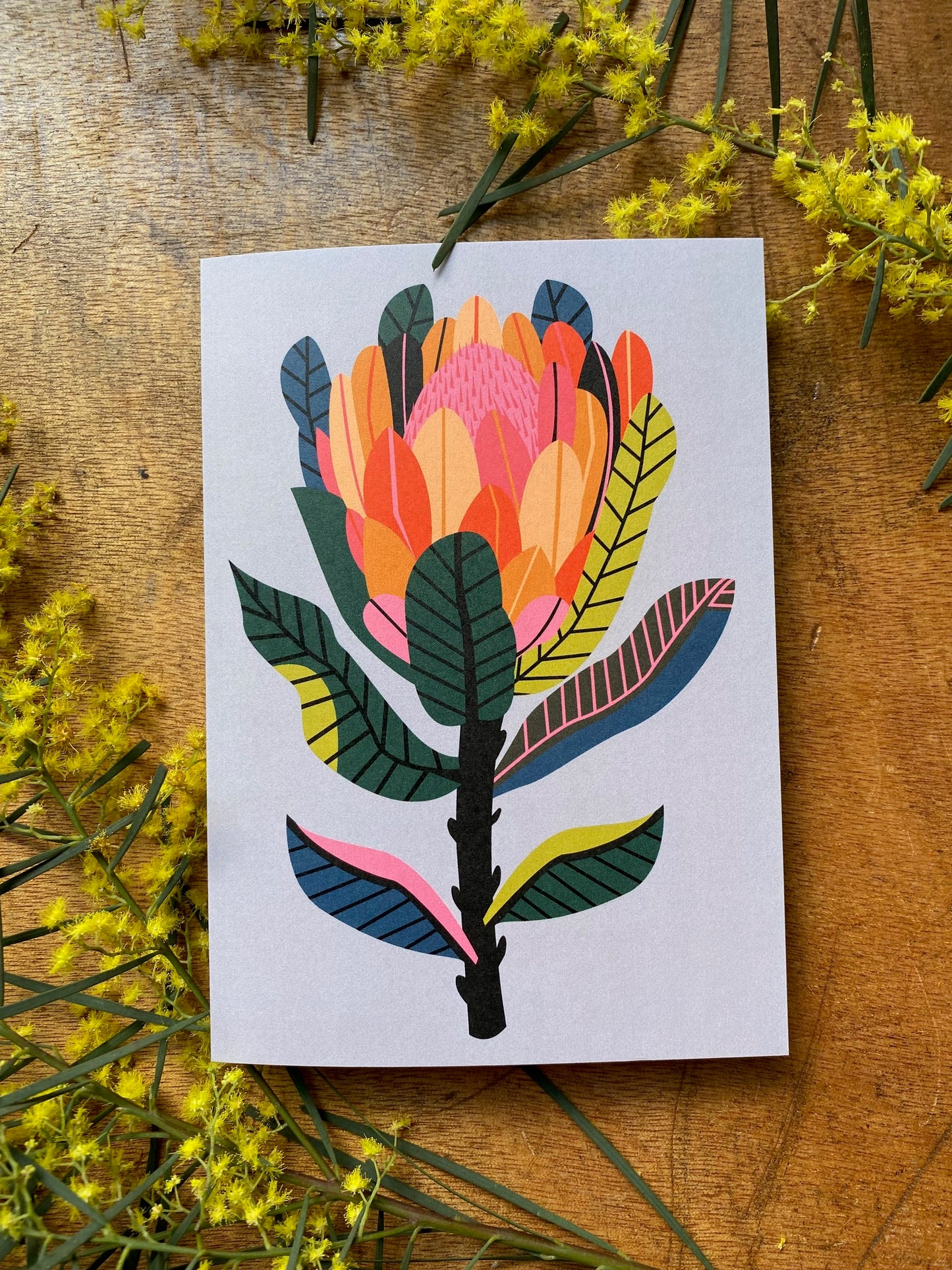 Protea