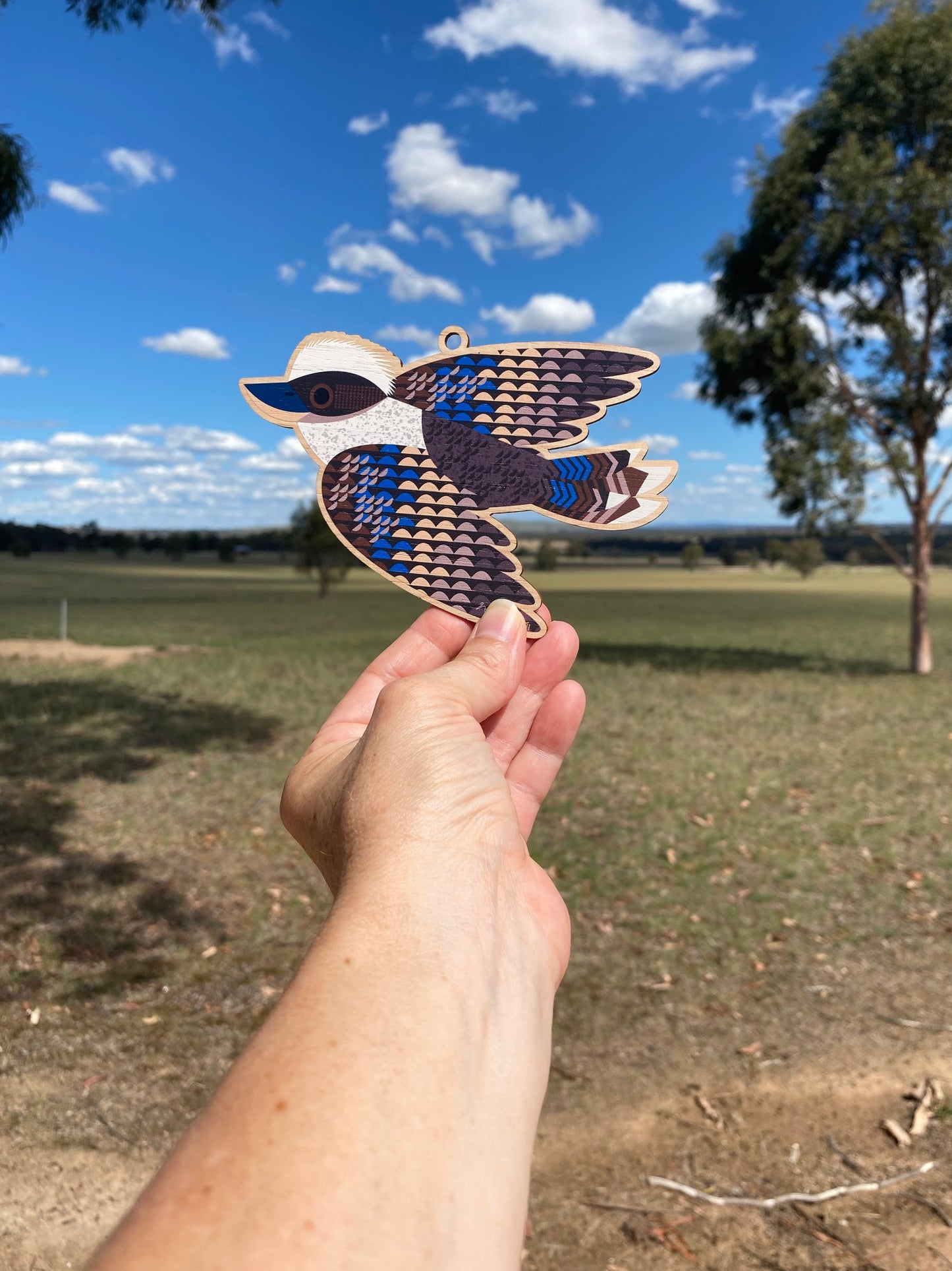 Kookaburra