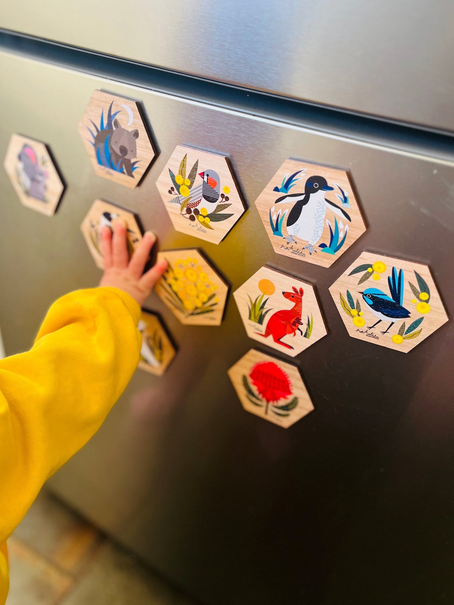 Bush Birds Magnet Set