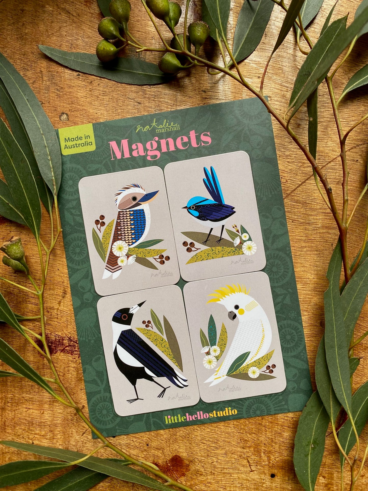 Native Birds Magnet Set