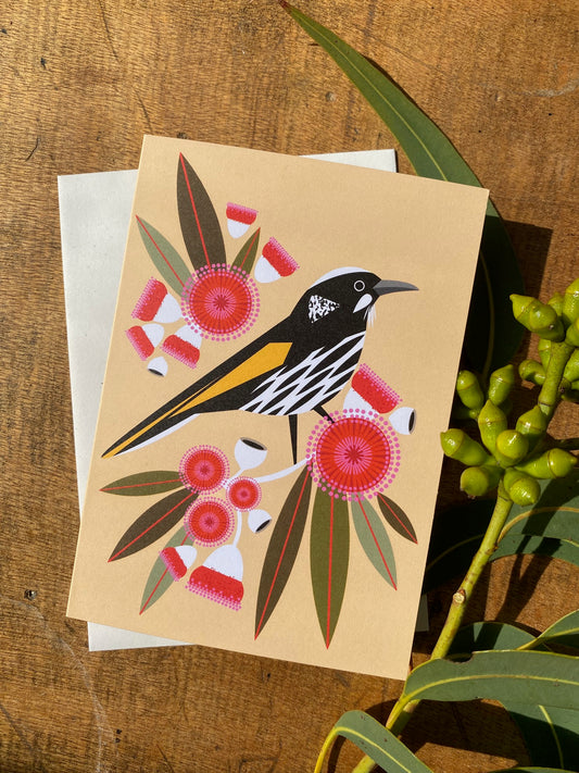 New Holland Honeyeater