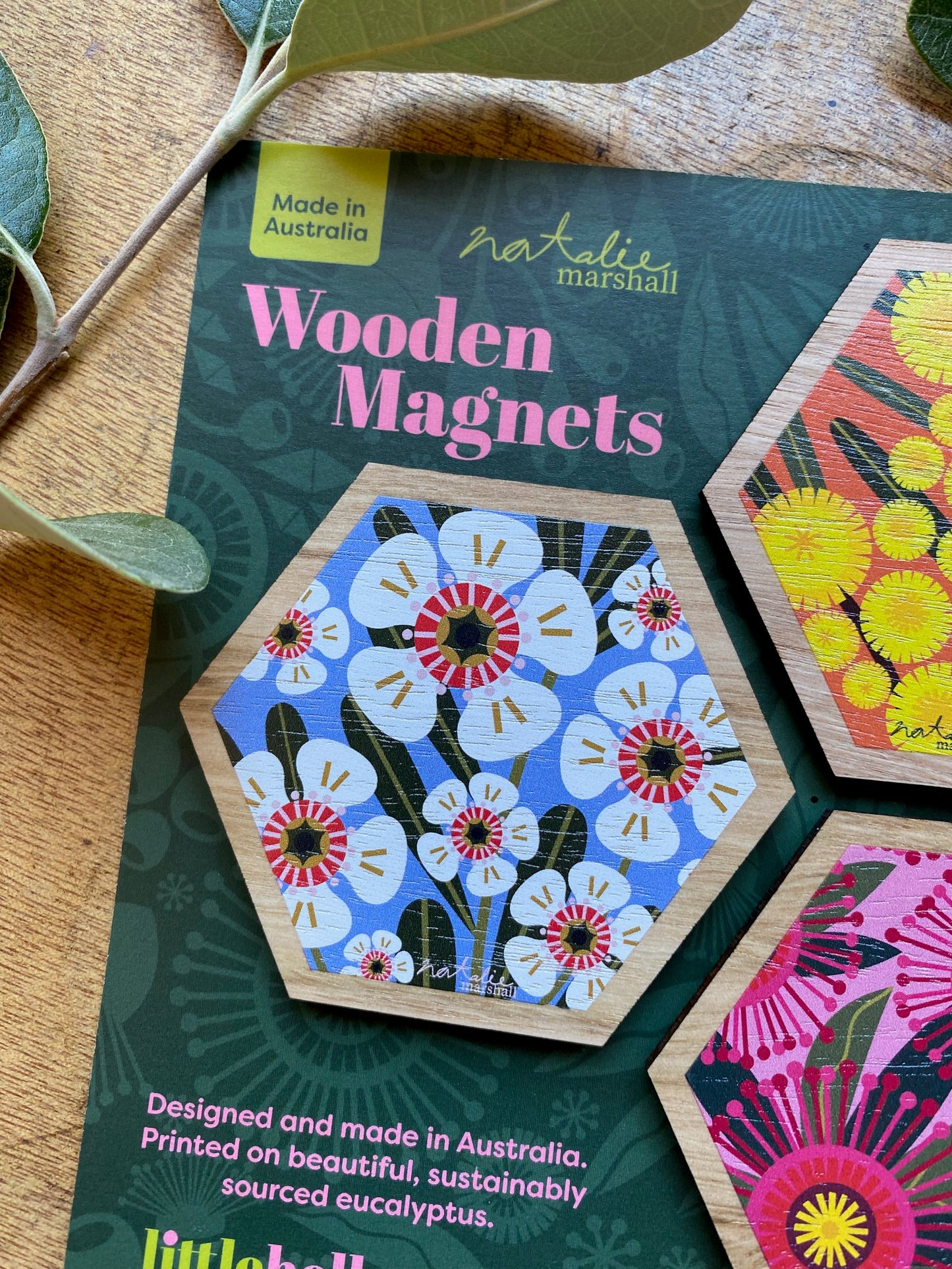 Bright Natives Magnet Set