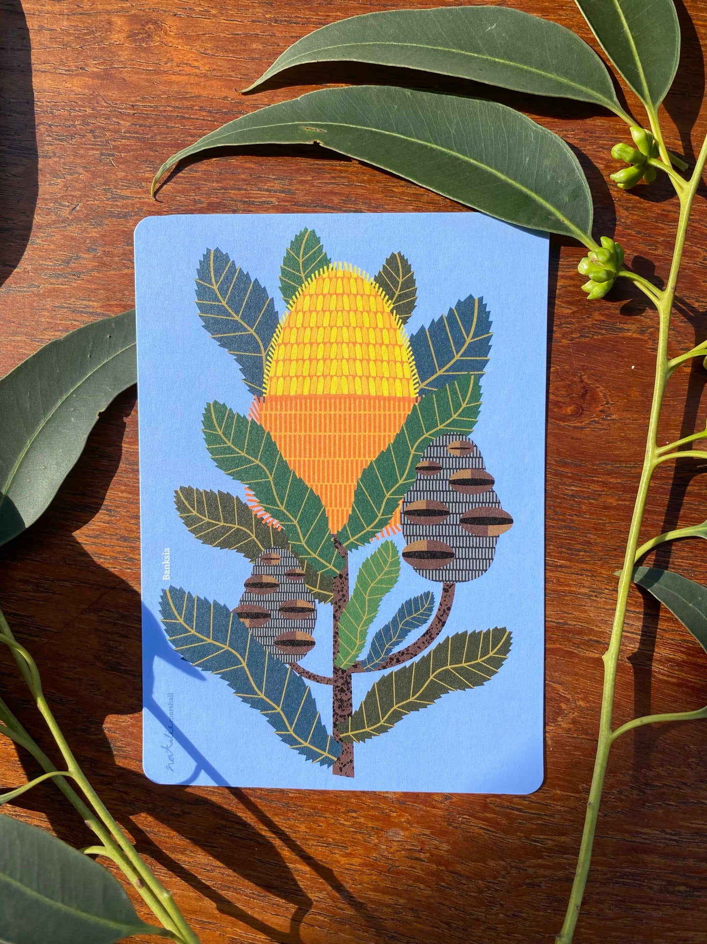 Floral Postcards