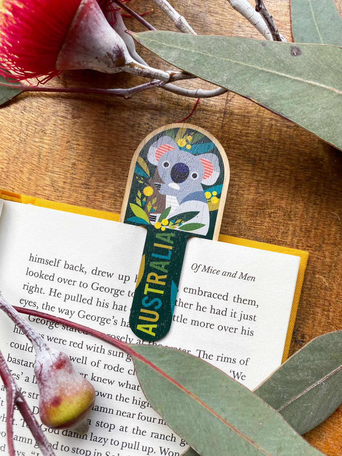 Koala