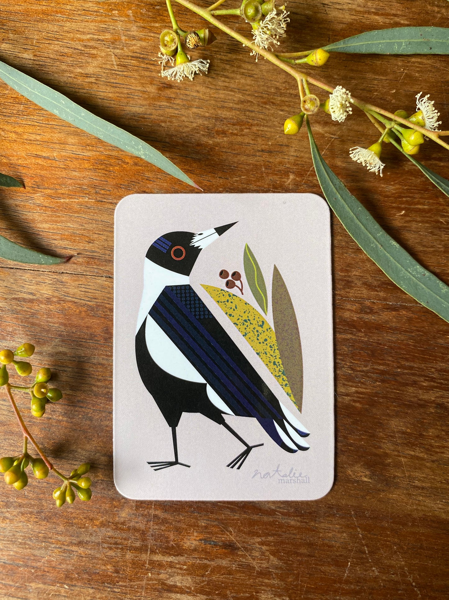 Native Birds Magnet Set