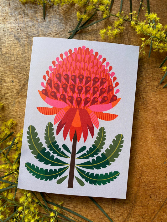 Waratah