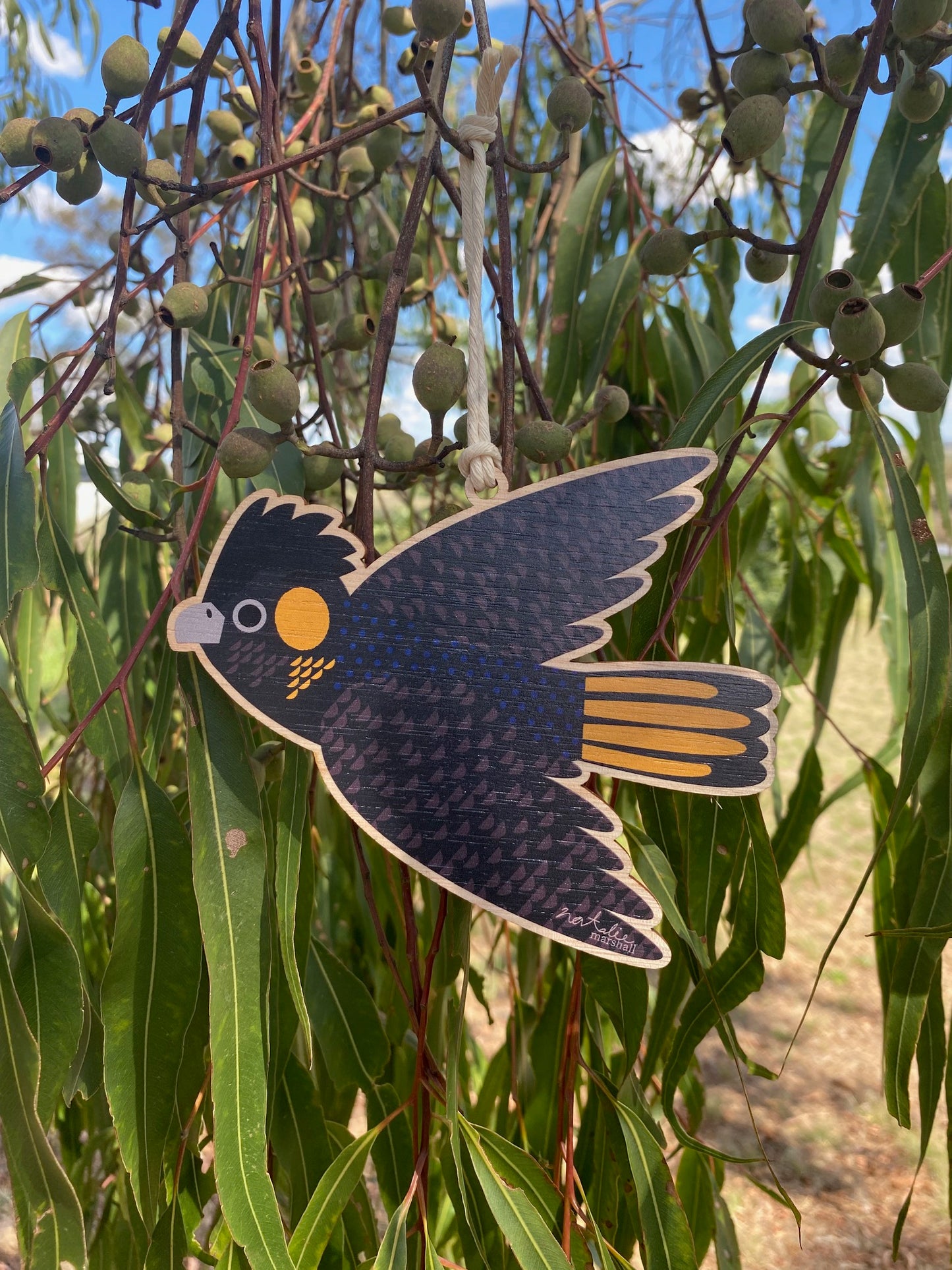 Yellow-tailed Black Cockatoo